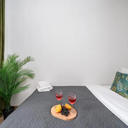 公寓 Lumina I Cozy 4-room Near Metro & Center 华沙